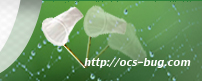 http://ocs-bug.com
