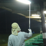 �N���̑�����